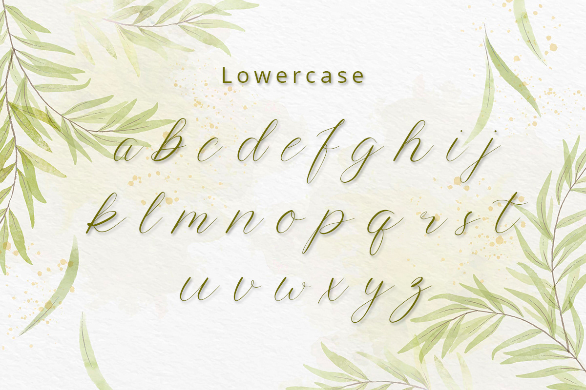 branding  Calligraphy   Classic feminine font luxury romantic Script stylish wedding