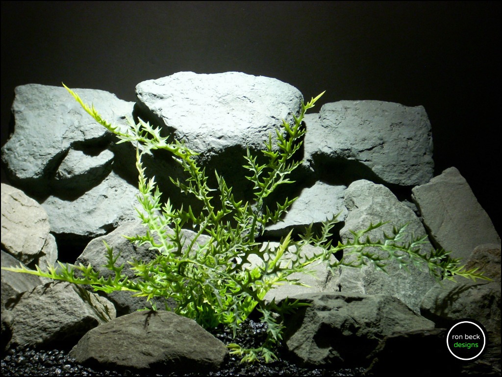 aquarium plants ronbeckdesigns dragons fern artificial