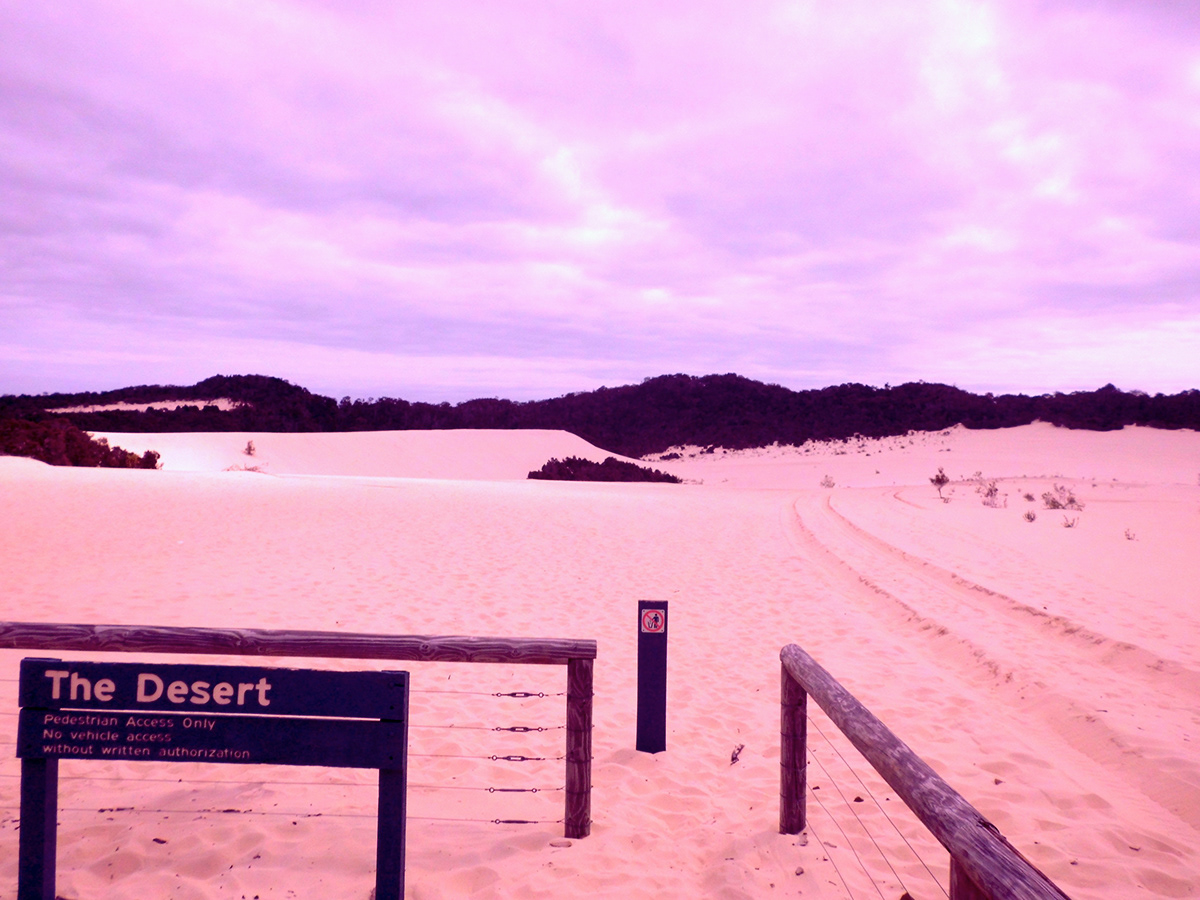 Surf beach  sand  gold coast Australia