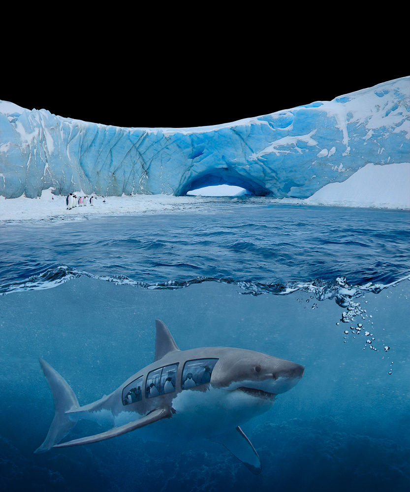 shark tubarão elefante marinho elephant seal albatroz penguin Pinguim snow ice Neve gelo iceberg antartica antarctic photoshop