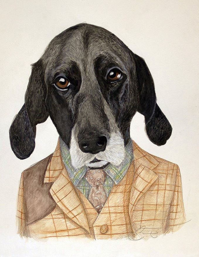 animals portrait humor vintage kitsch watercolor ink colored pencil pets dog Cat Commissioned personal art
