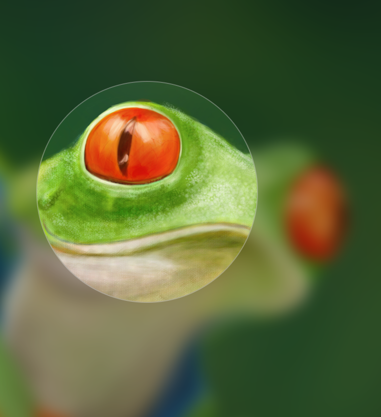 digital painting frog