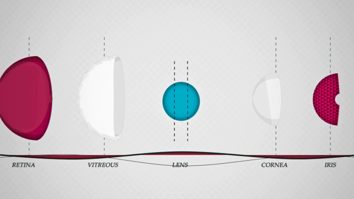 motion graphics reel 3D 2D infographics Maya after effects cinema 4d type