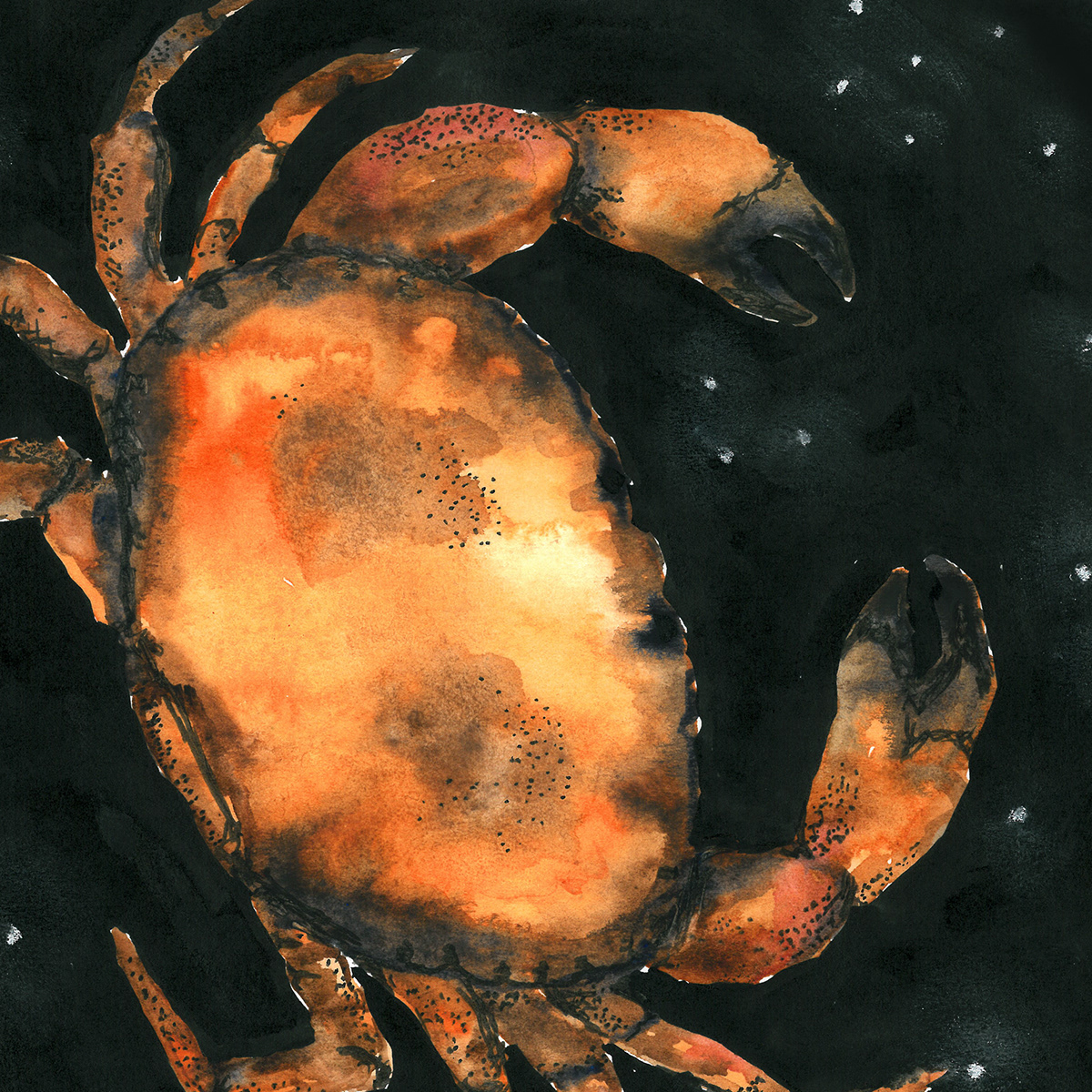crab zodiac print gif patter repeat ILLUSTRATION 