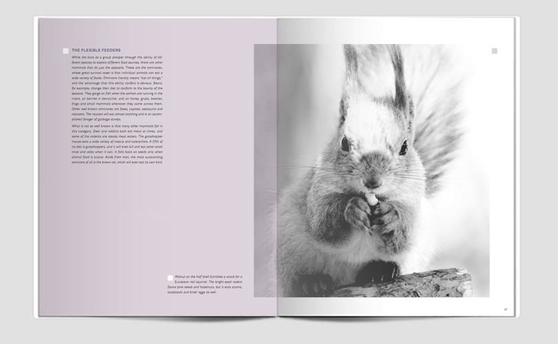 Adobe Portfolio TIMELIFE time life Time Life Book timelife book The Mammals mammals nature series  Nature Library redesign