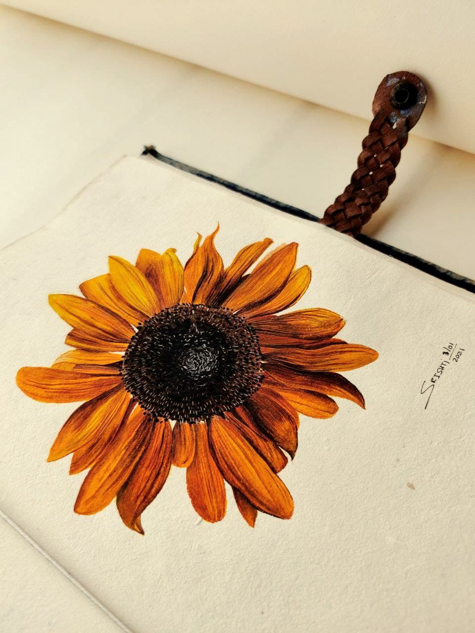 watercolor illustrations Flowers Travel journal Photography  botanical inks paint India