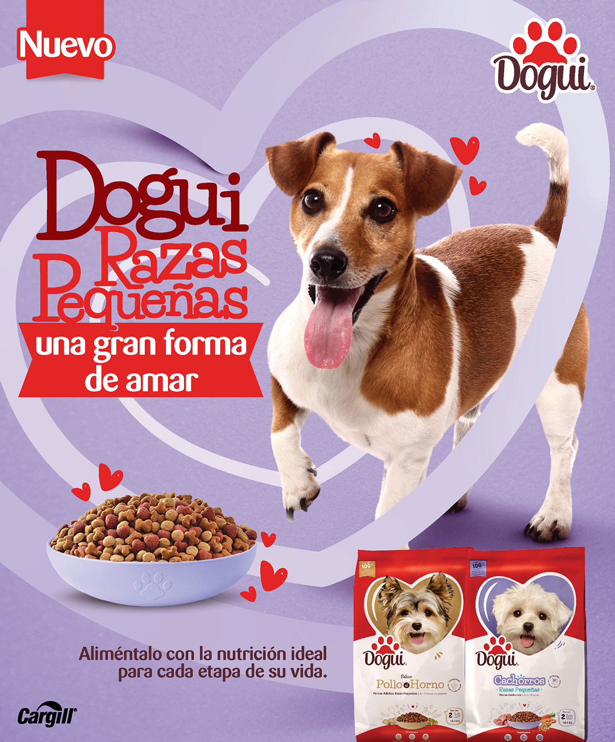 dog Food  Pet Advertising  Graphic Designer visual identity designer graphic ads Dogui