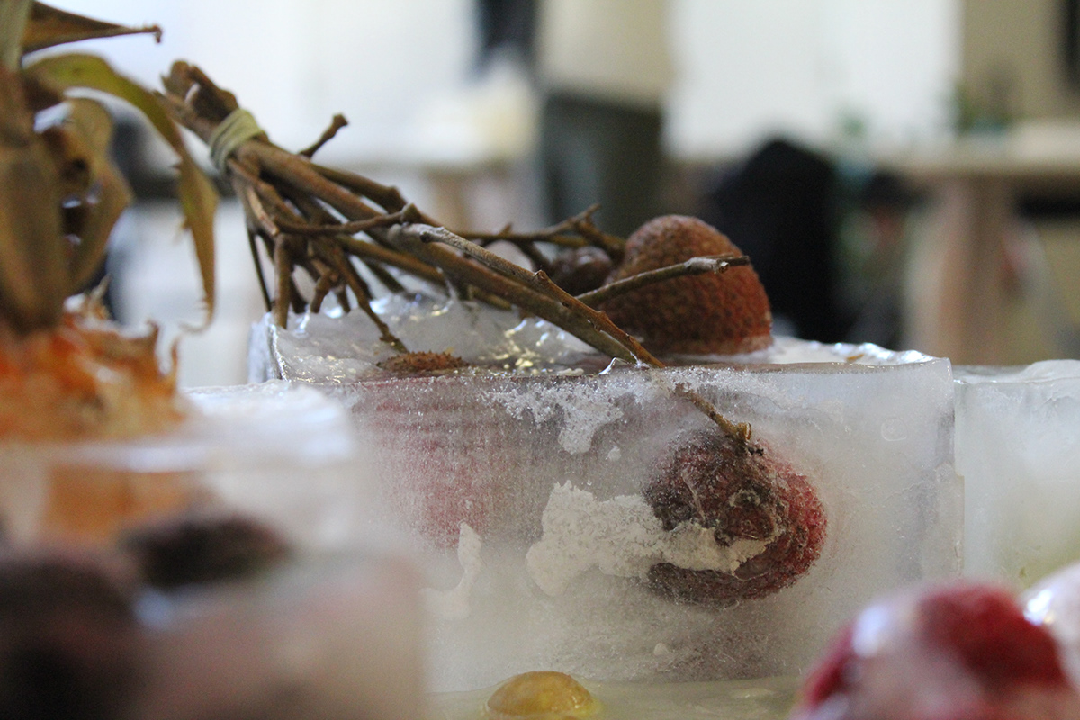 frozen Fruit Gelé Nature mort dead student Workshop ice glace
