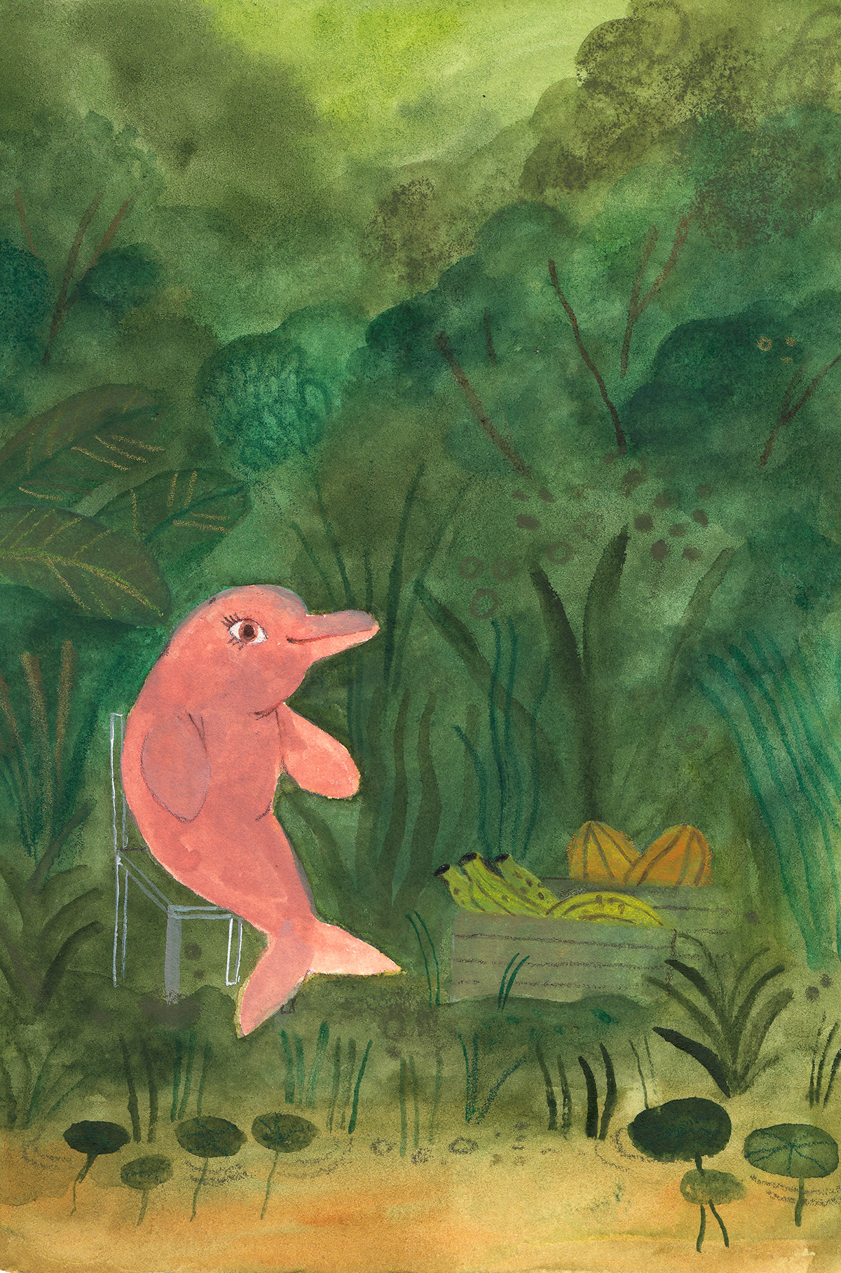 acuarela Amazon Amazonas dolphin ILLUSTRATION  jungle Latin America manu montoya pink watercolor