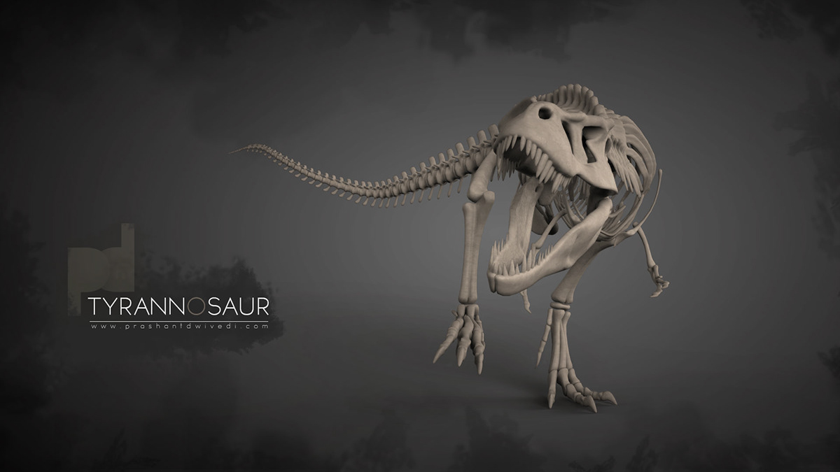 Maya 2012 Zbrush Photoshop cc 3d modeling Dinosaur tyrannosaurus bipedal carnivore predator Bipedal carnivore skeleton