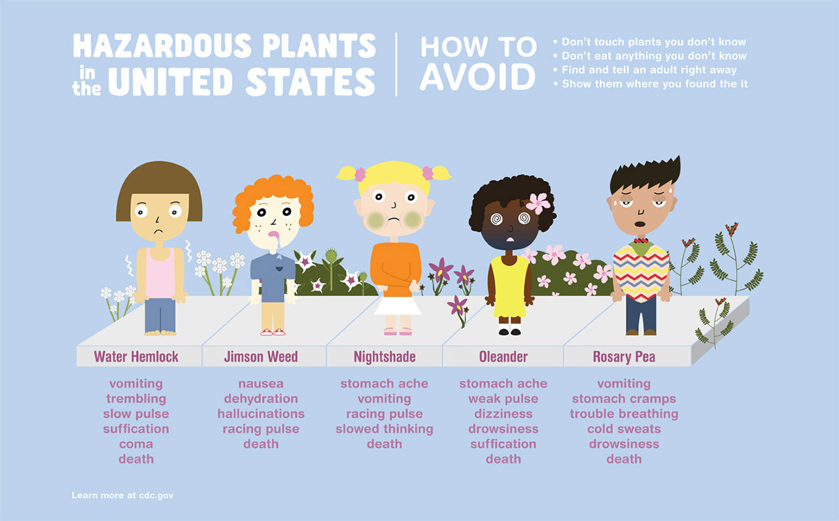 infographic infograph plants toxic plants hazardous hazardous plants color colorful colorful DESIGN Colorful illustration