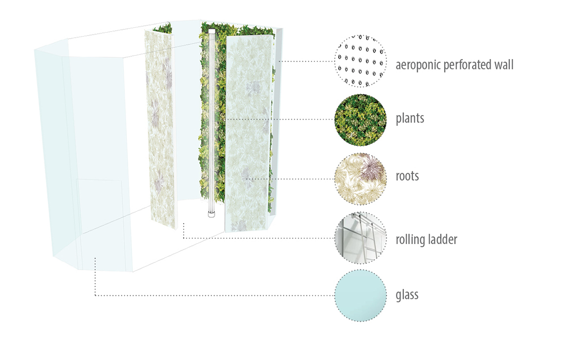 Adobe Portfolio interiordesign interiorarchitecture design verticalfarm Sustainability root HydroponicGrowing hydroponic
