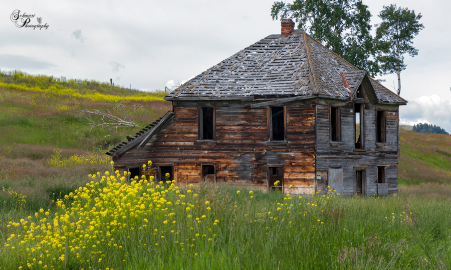 This is an abandoned farmer's house in Chesaw, WA