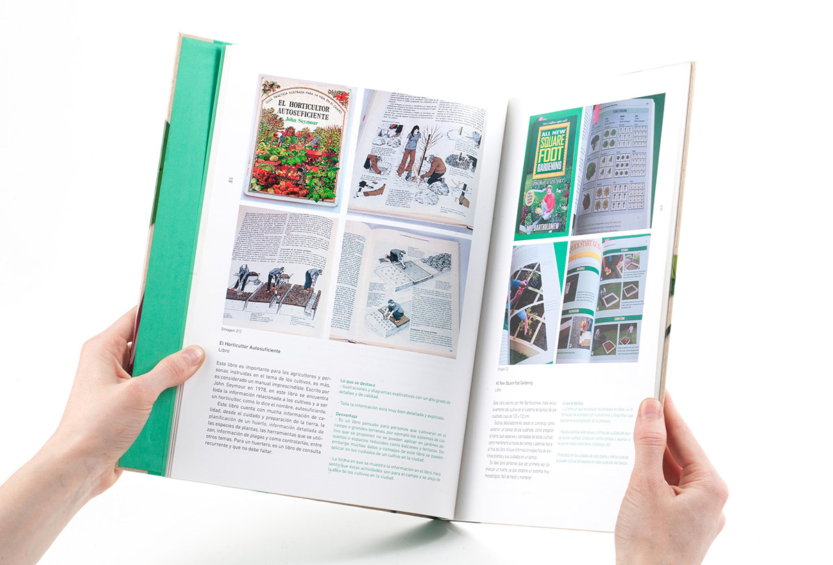 Adobe Portfolio editorial design  graphic design  book thesis Book Binding