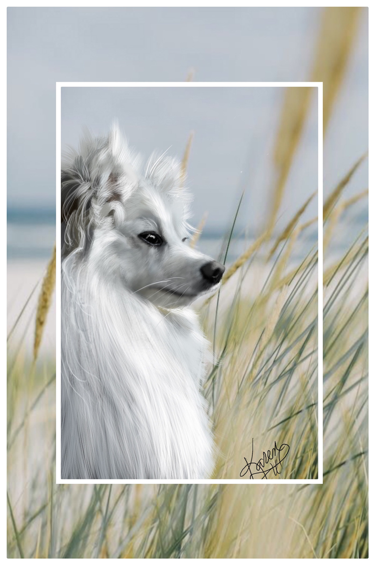 digital painting illustrations animals canine dogs Volpino Italiano