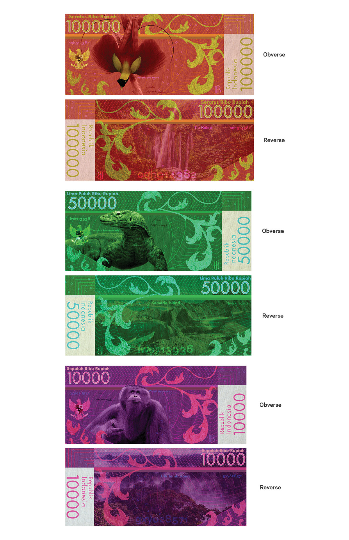 indonesia rupiah currency bird of paradise komodo dragon orangutan