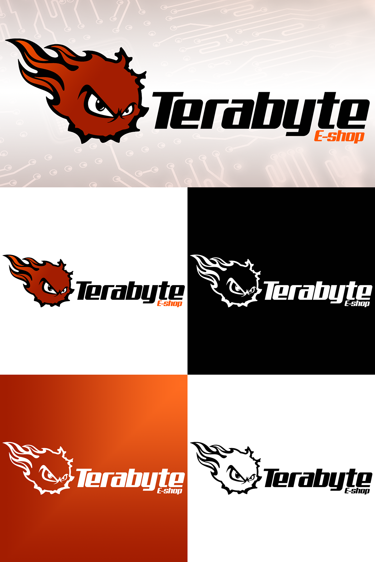 Rebrand Terabyte E-Shop concepts