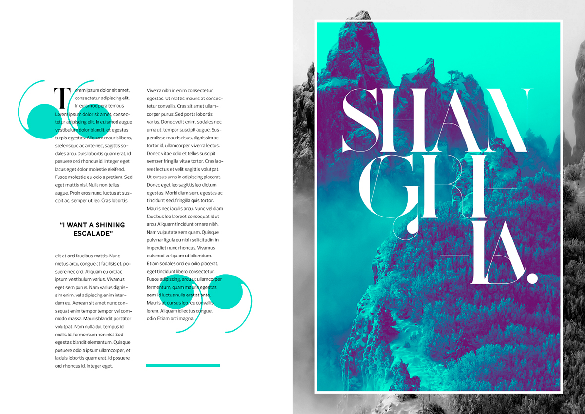 font fonts Typeface typefaces magazine Didot bodoni Ligatures swash Swashes glamour exuberant class feminine Display