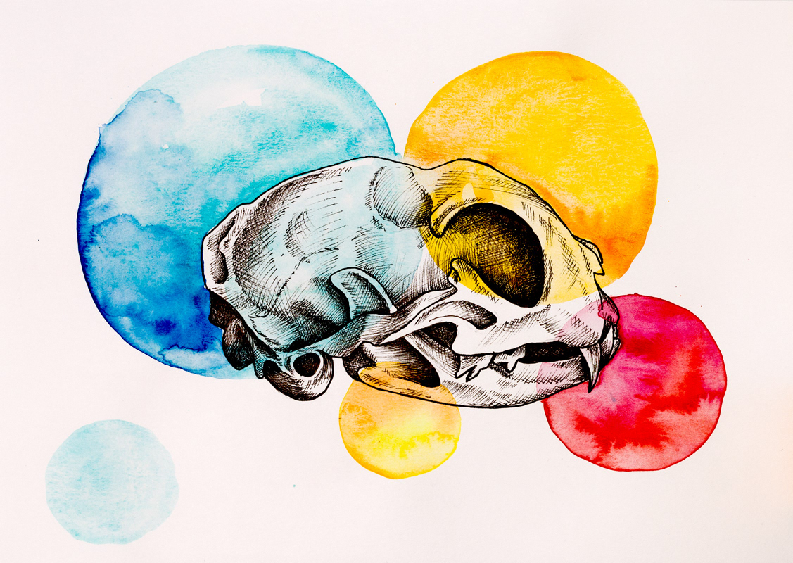 skull bones anatomy watercolor ink Original Art