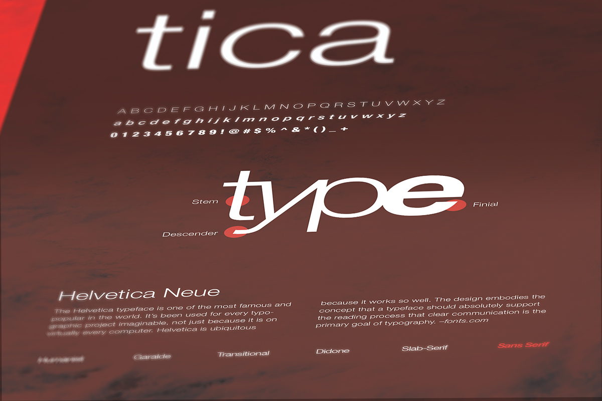Type Classifications Poster series poster print selected