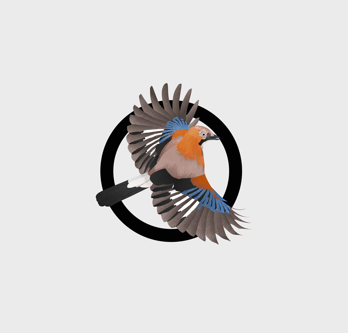 bird vector bird Bird Illustration bird logo Logo Design Nature logo identity brand branding 