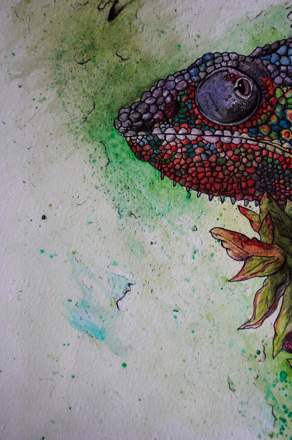 chameleon lizard animal water color watercolor watercolour bright detail biro splashes