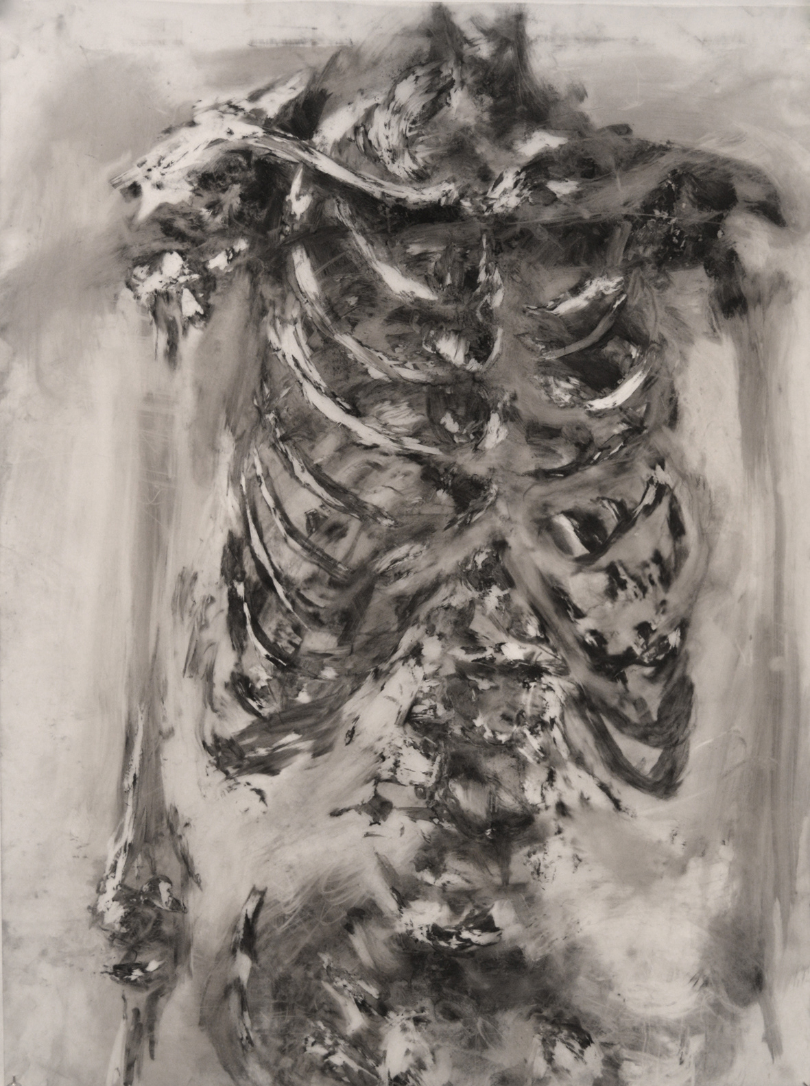 skeleton decay
