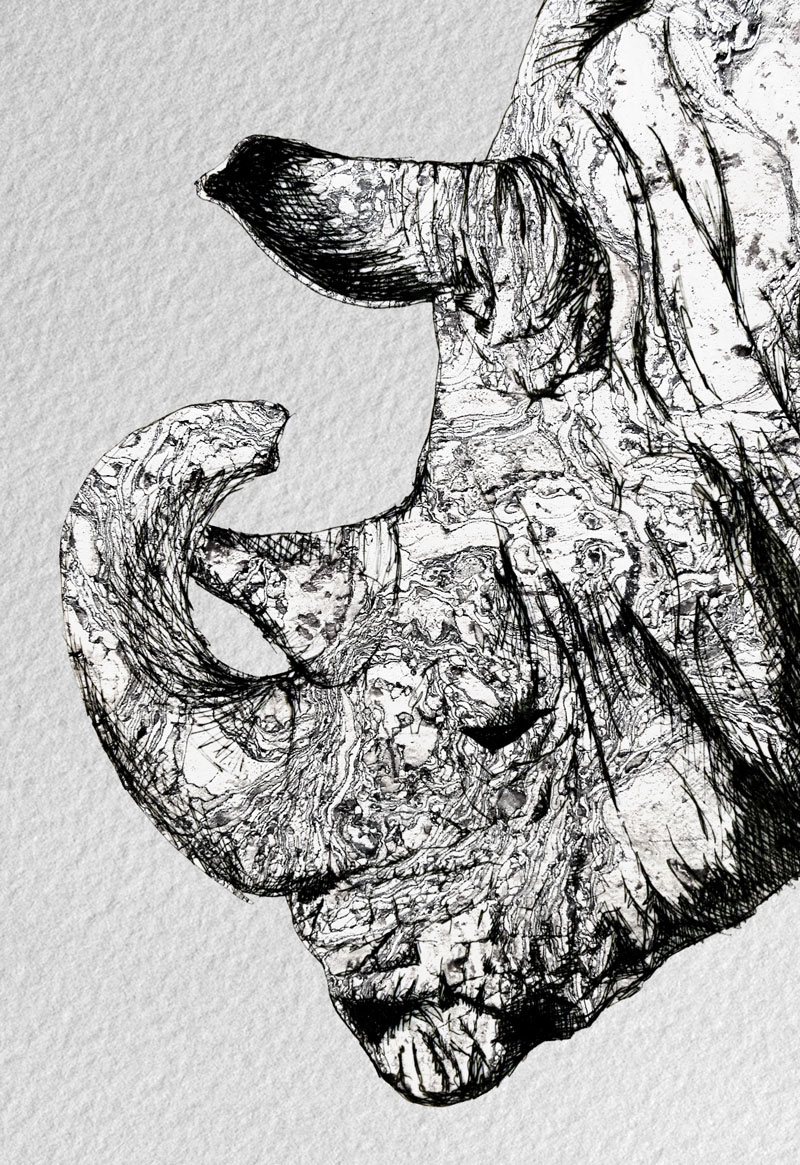 Rhino Rhinoceros animal texture cork