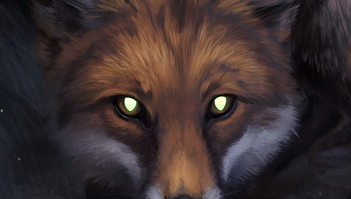 tapetum lucidum FOX red fox urban wildlife night feral animal