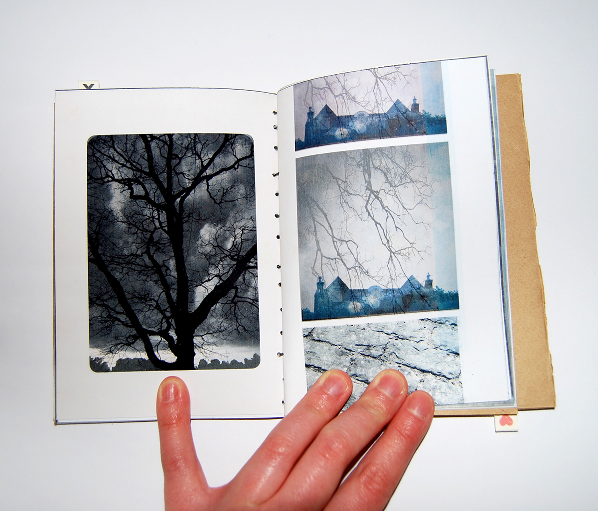 photo Memory memographica Twins book design