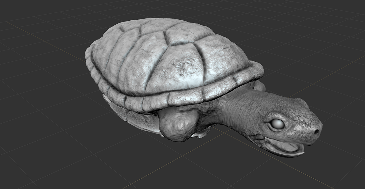 Turtle 3D Sculpt Mudbox reptile Tortoiseshell  