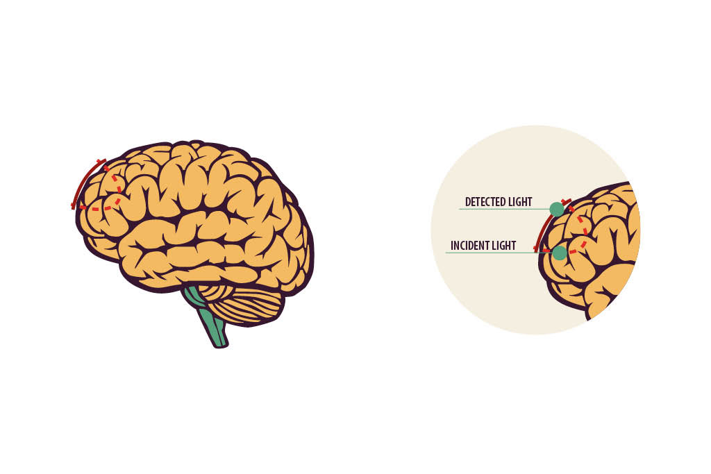 brain science logo neoroscience