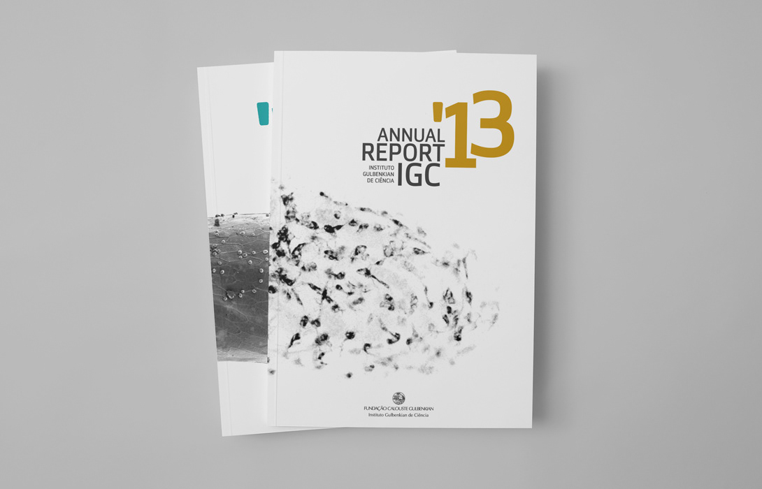 annual report design editorial Layout print