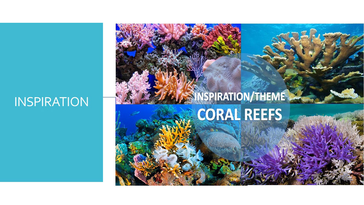 Image may contain: reef, aquarium and marine invertebrates