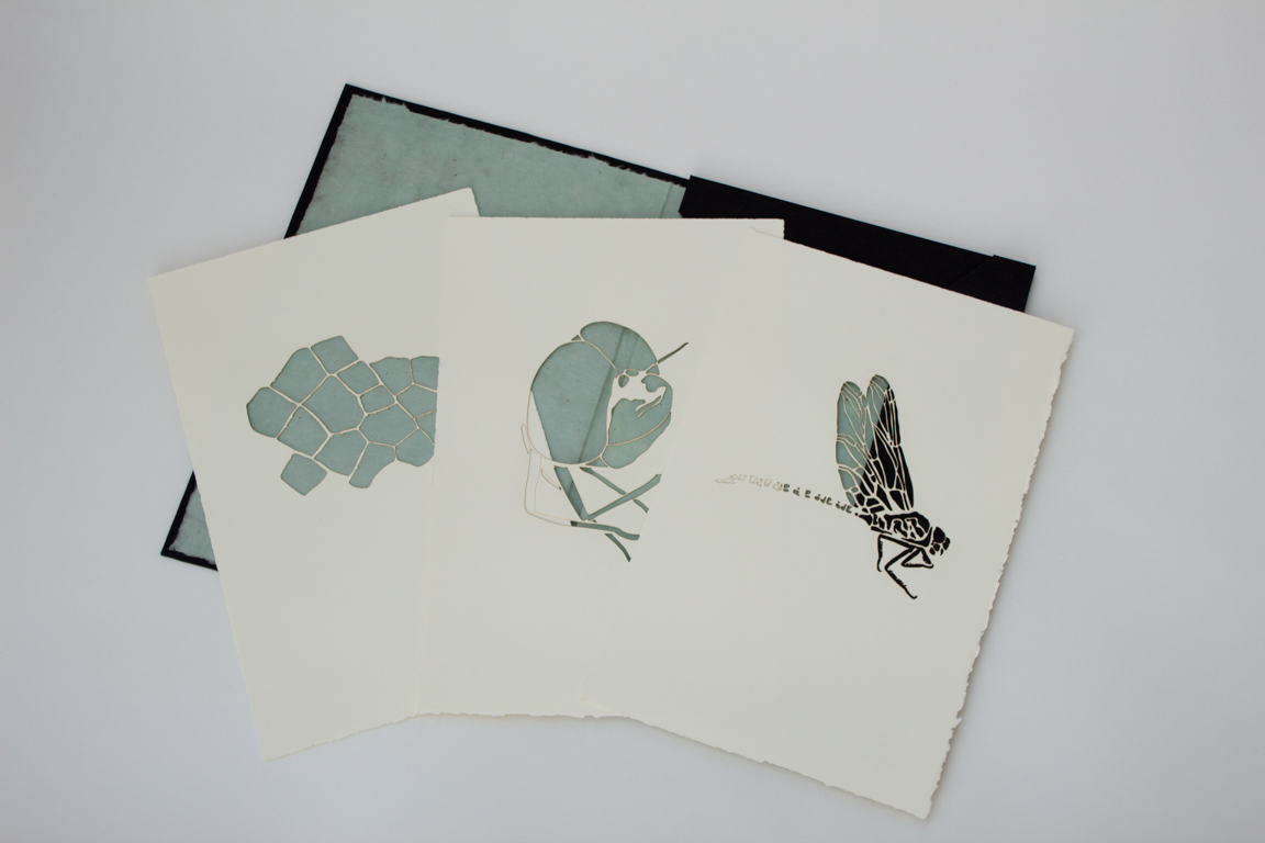Ecology Nature scale microscopic papercuts Paper cutting paper art