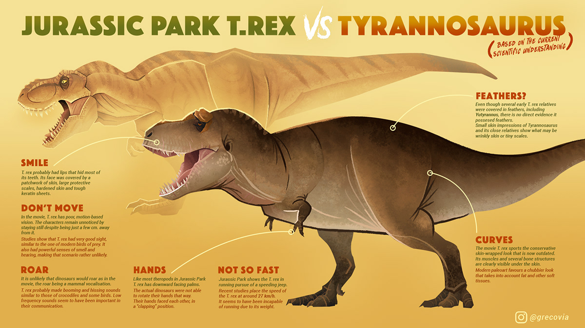 Velociraptor Size Comparison Jurassic Park