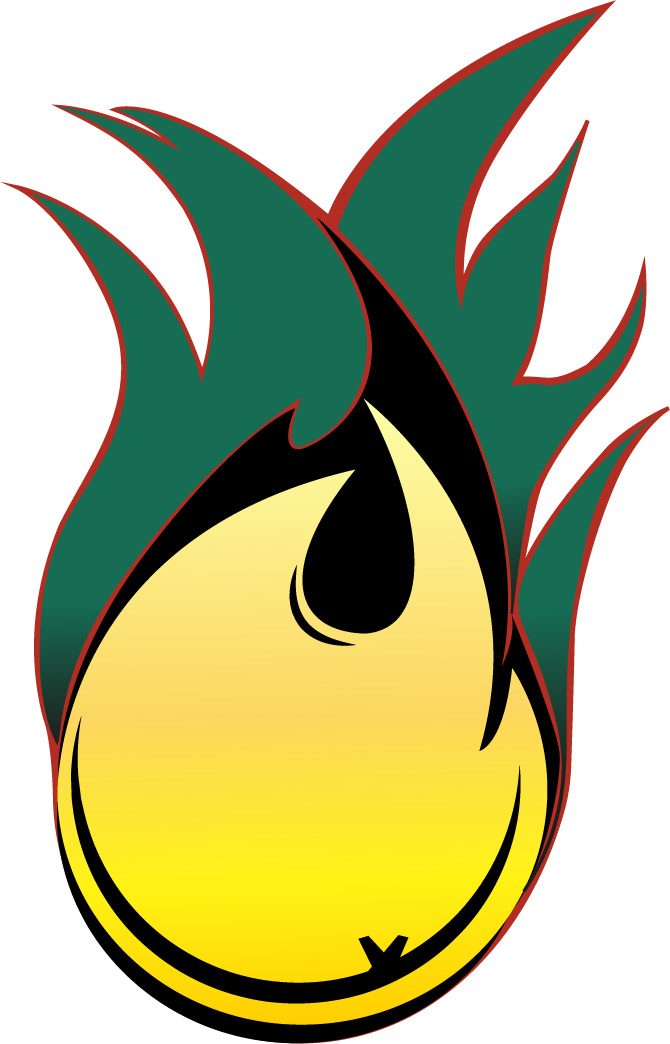 logo Illustrator photoshop Pineapple Hot shirt heat pine it ananas flame Chaleur chaud textile