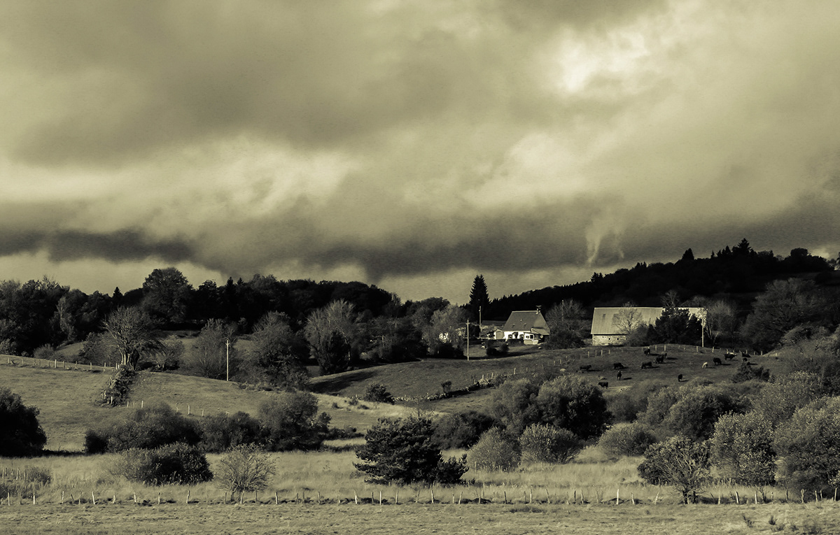 auvergne france Fouillat Landscape autum black/white frankrijk landschap Herfst Bossen WEIDE
