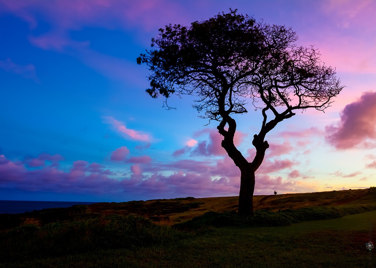Adobe Portfolio Photography  Travel Landscape HAWAII Ocean Sunrise sunset