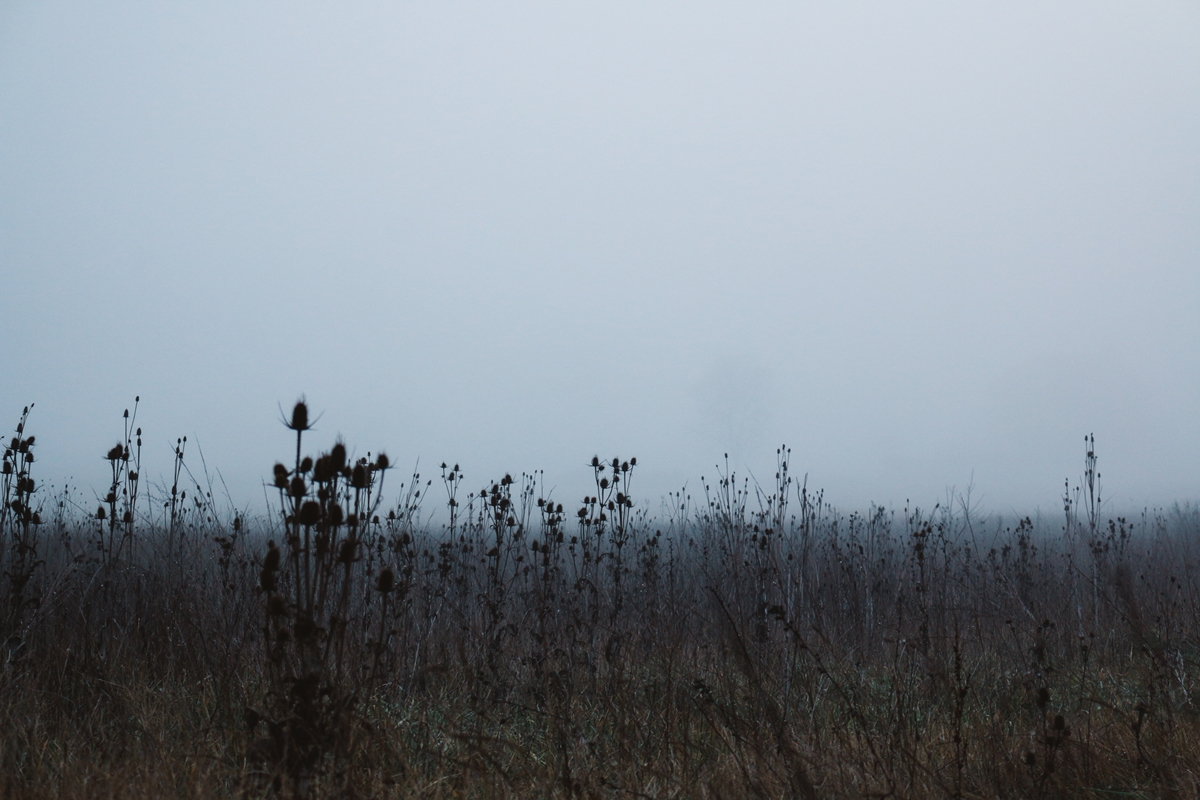 Landscape fog hometown fogscape foggy Mystic