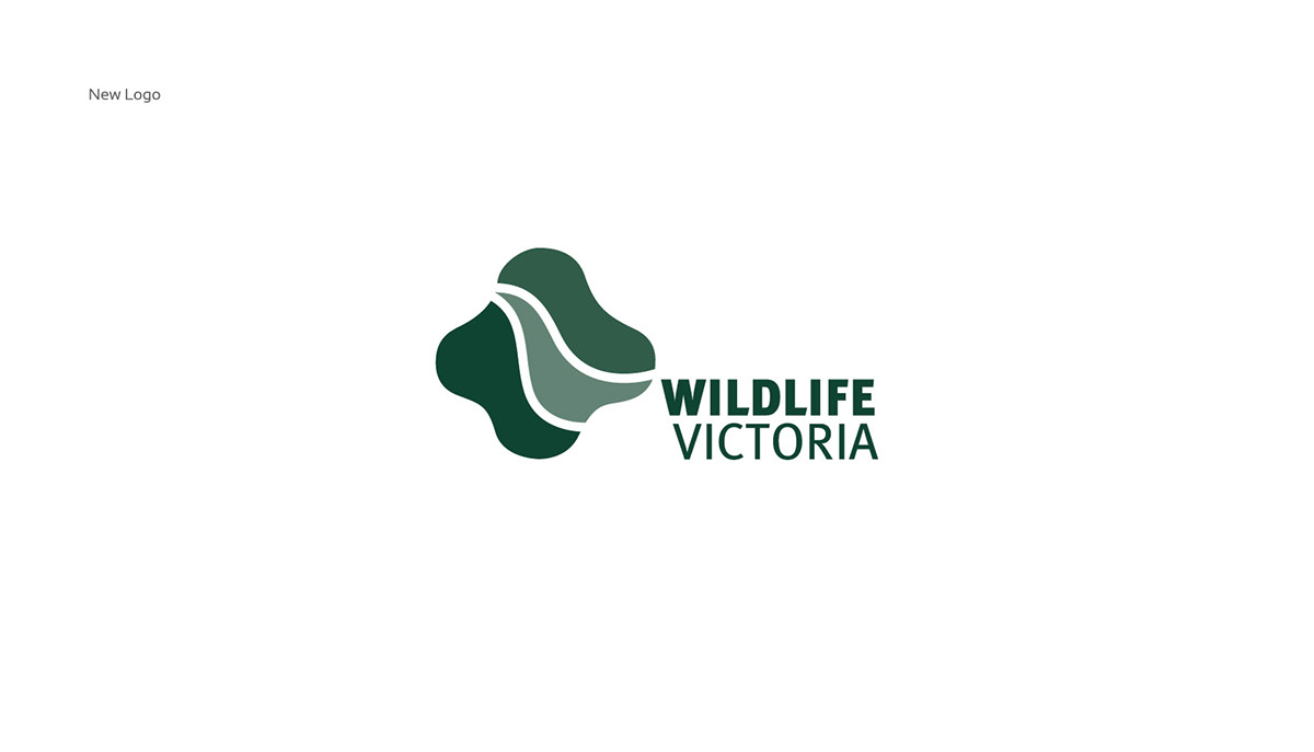 Wildlife Victoria RMIT ericliang student design Australia charity organization emergency wildlife life animal green natural non-profit