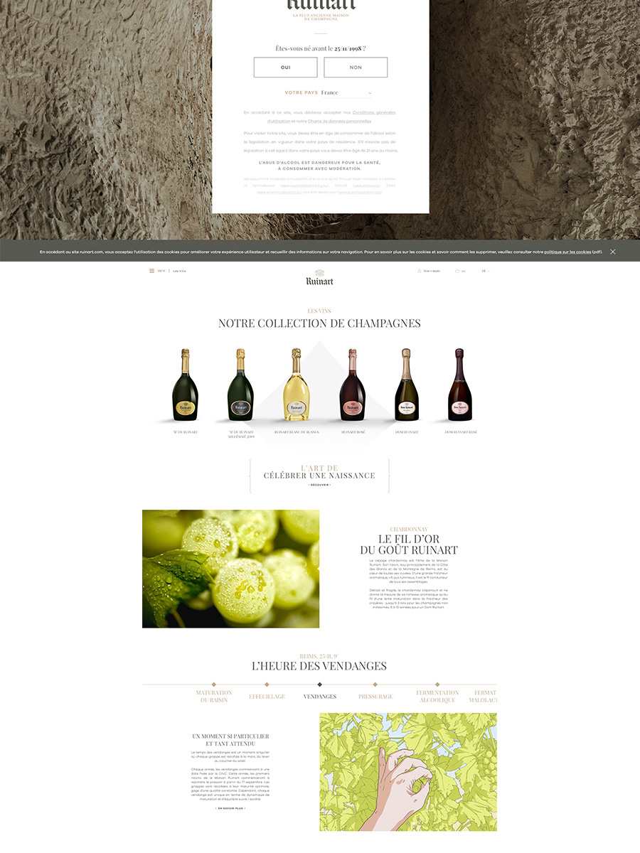 Direction de création direction artistique Web ruinart Conception Champagne