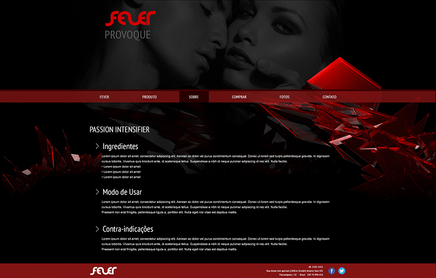 Web Design  visual design Website