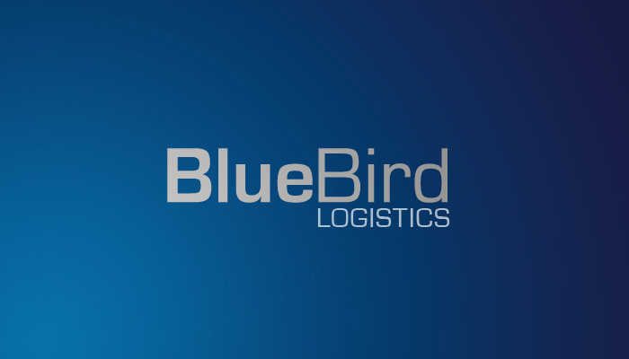 blue  bird  bluebird  Sammy Sayles   logo   brand identity print