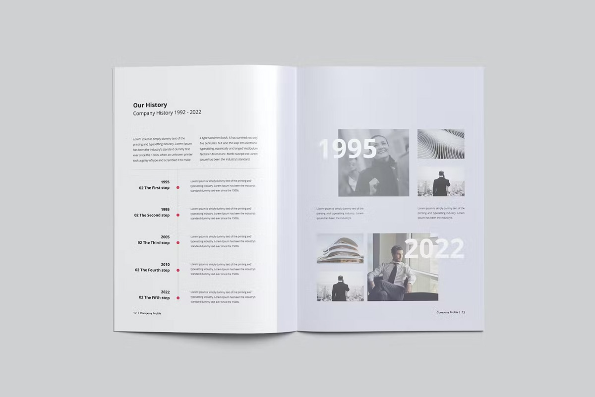 annual report brochure brochure design business company company profile corporate Layout profile report