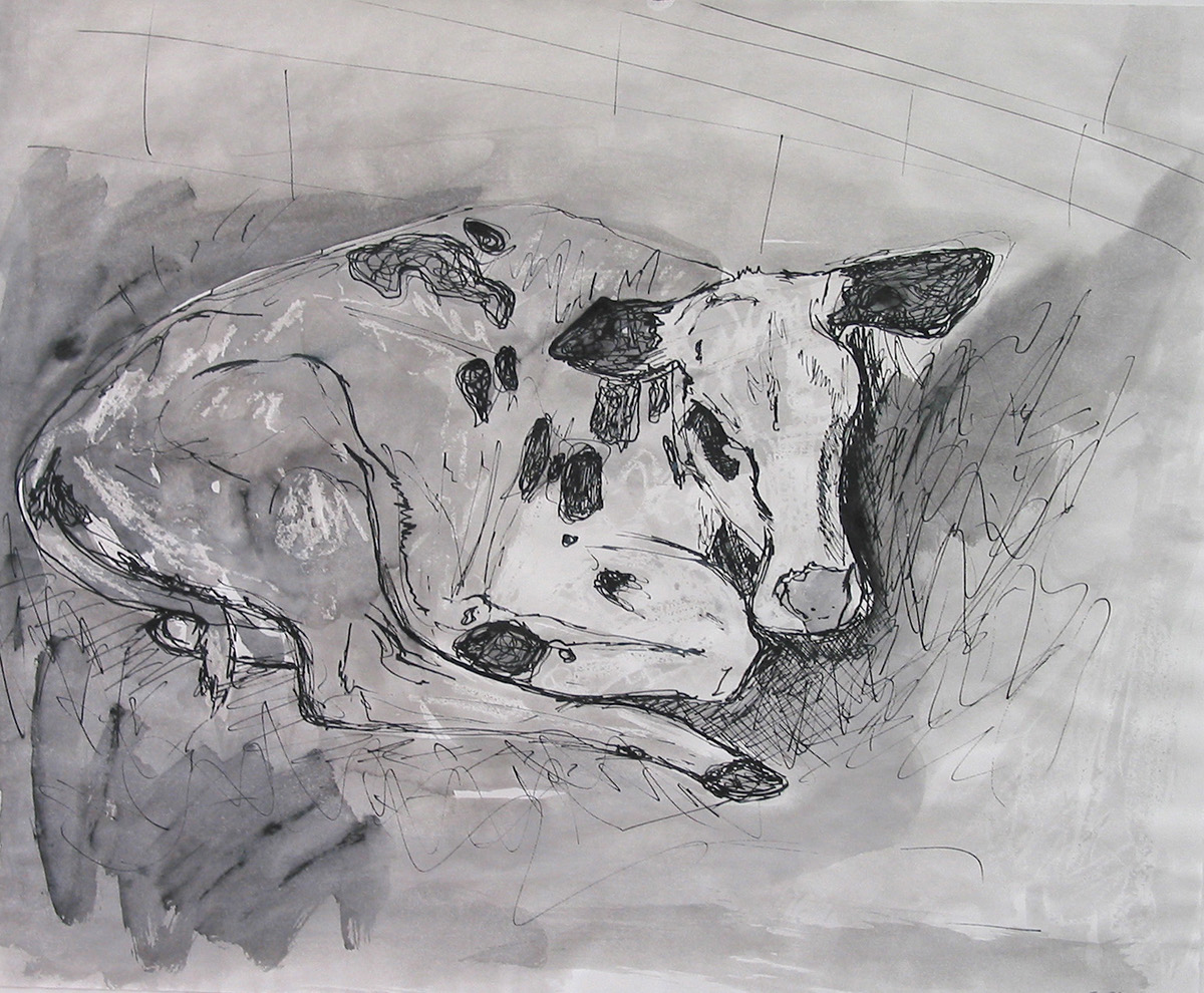 cats dogs cows ink on paper mixed media