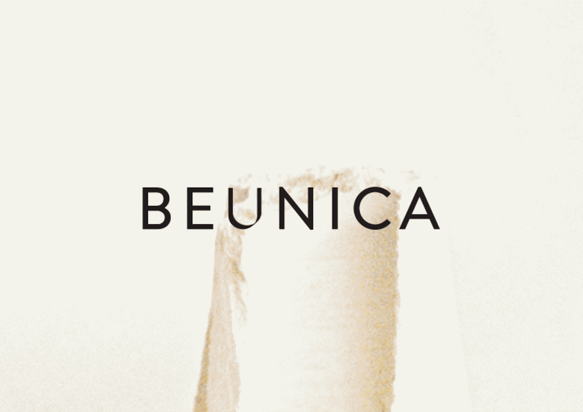 beunica branding  e-commerce logo merillangie E-Commerce Branding social media visual identity