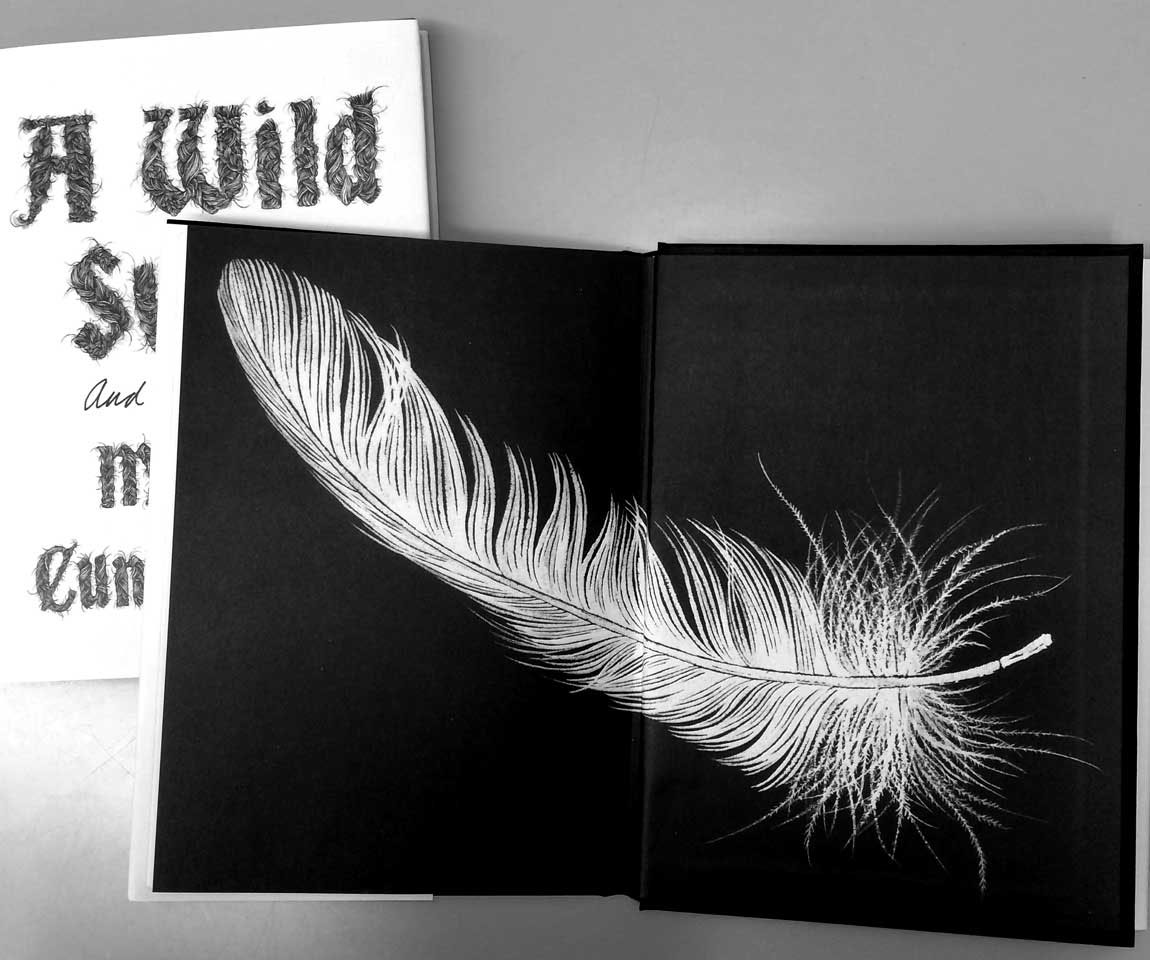 book line drawing black white European fairy tales