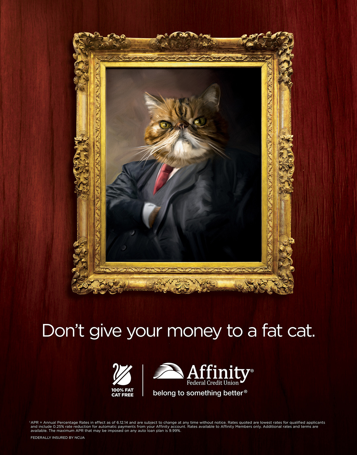 Affinity Federal credit union fat cats