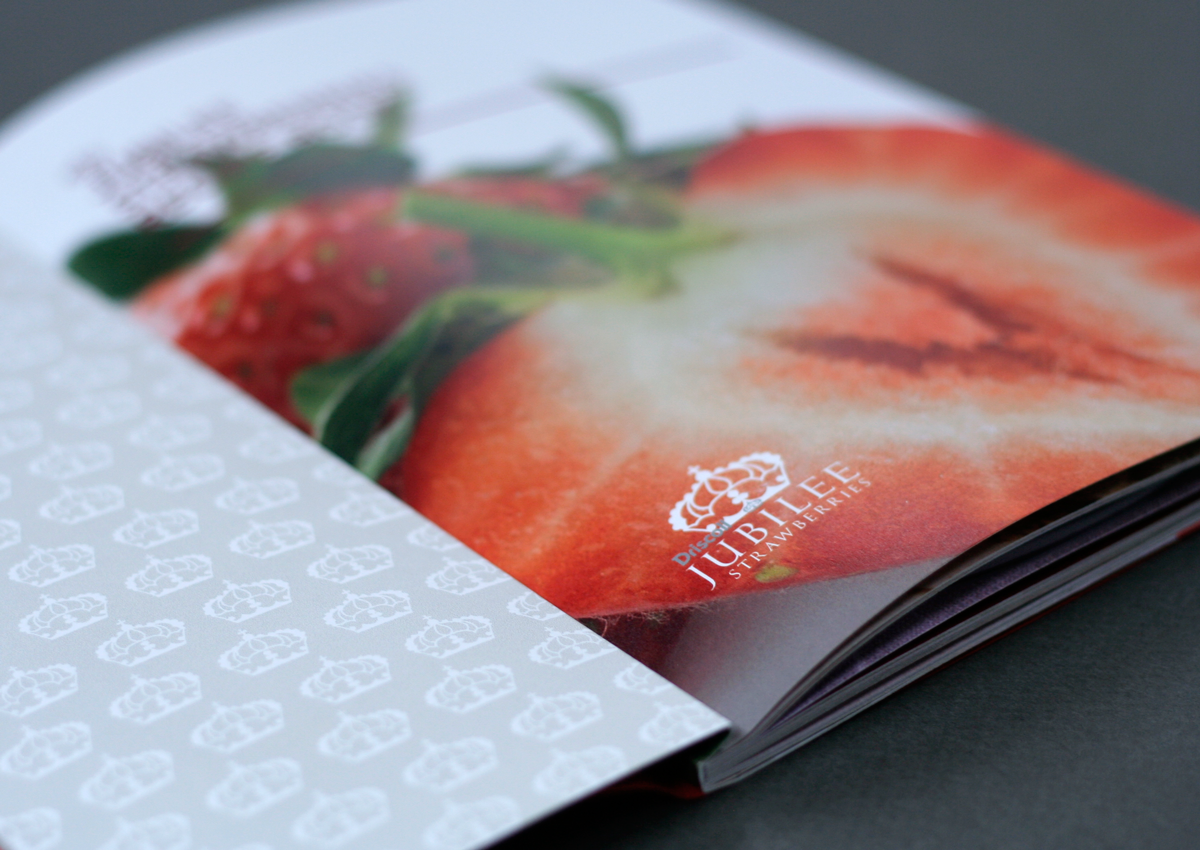 silver foil cook-book dust jacket Fruit recipe Layout strawberry ingredients fresh Quality high-end Cookery Food 